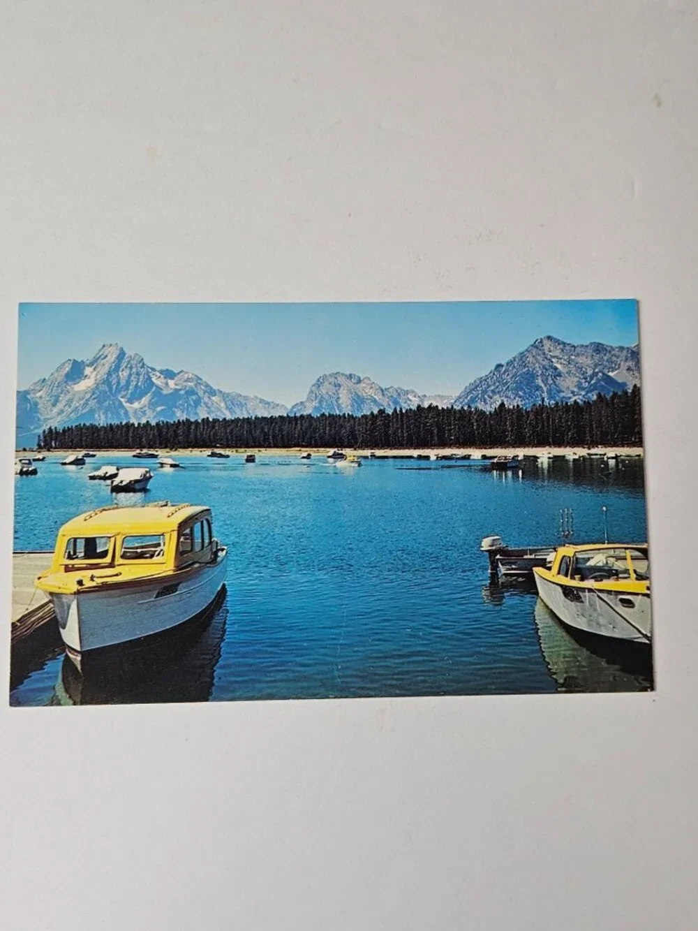 Colter Bay Grand Teton National Park Wyoming Postcard